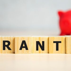 Grant Writing Per Grant Application